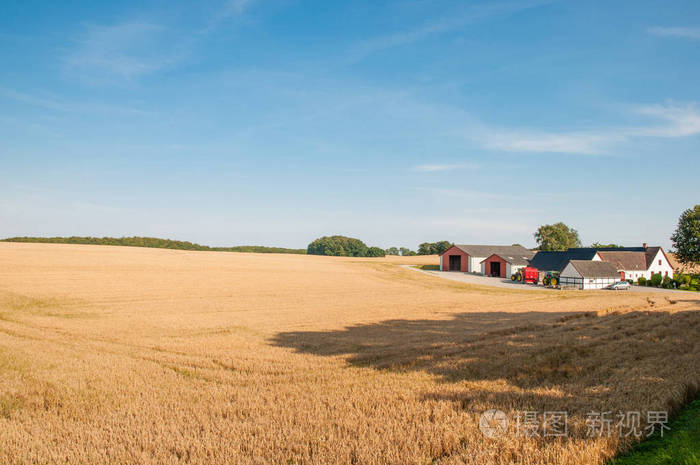 上岛的摩恩在丹麦农场
