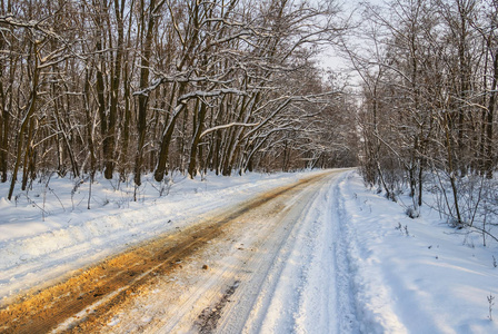 通过冬季大雪森林路