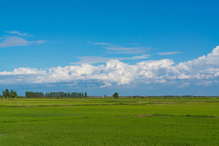 稻场绿草蓝蓝的天空云多云风景背景