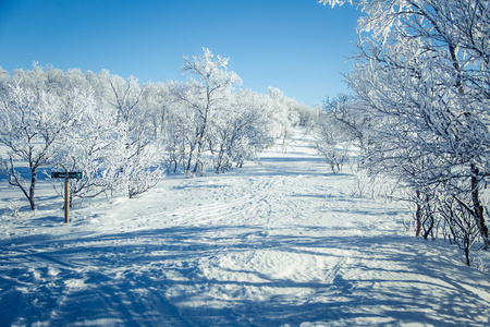 一个飘雪美丽白色景观与滑雪挪威冬季天跟踪