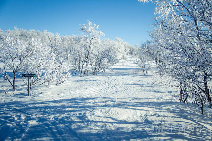 一个飘雪美丽白色景观与滑雪挪威冬季天跟踪