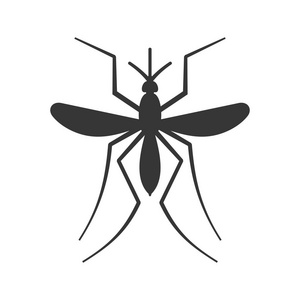 蚊子在白色图片