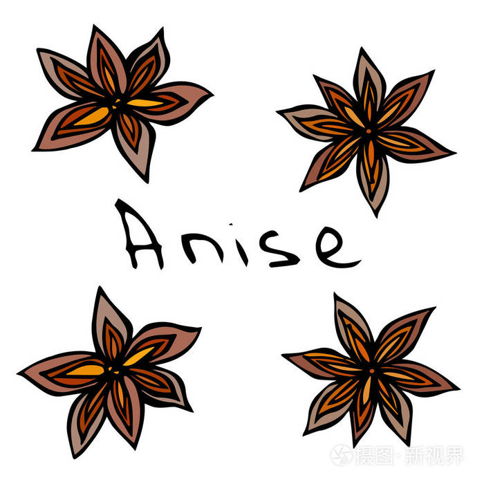 插画 茴香的明星.孤立在白色背景上的矢量图.现实的手绘涂鸦风格素描.