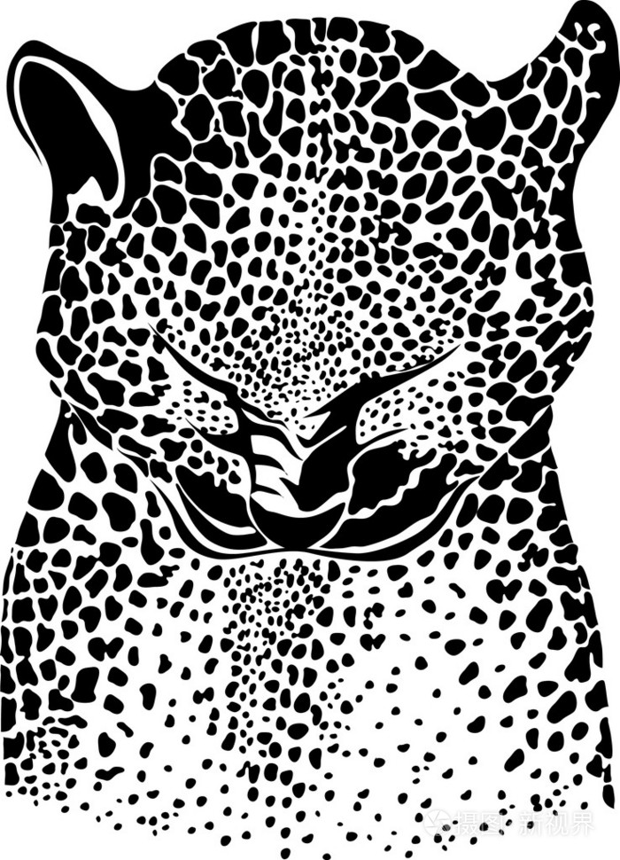 豹 美洲豹,金钱豹,花豹插画-正版商用图片00arr9-摄图新视界