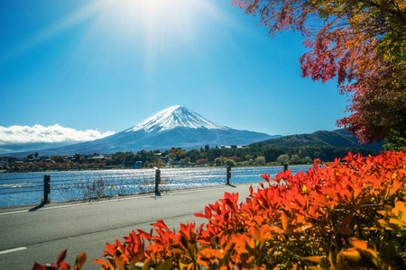 秋天的颜色 日本的富士山照片 正版商用图片0cqvk1 摄图新视界 秋天的颜色 日本的富士山照片 正版商用图片0cqvk1 摄图新视界