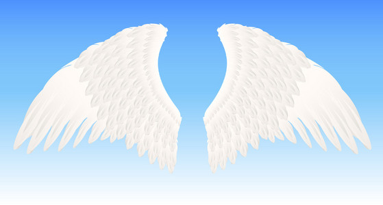 白色天使的翅膀照片