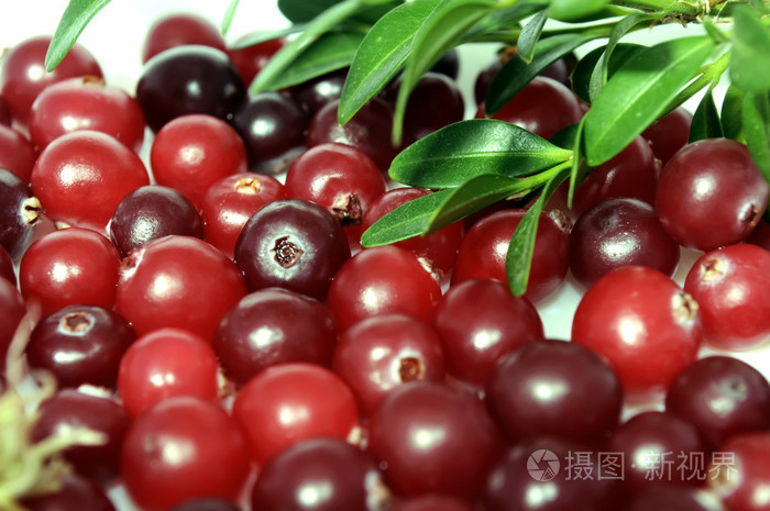 植越橘cranberry的名词复数