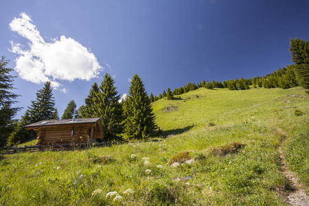 奥地利山夏日风景 Lesachtal Gailtal 性质