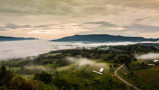 树木与泰国在雾山