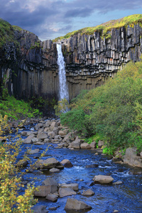 在冰岛 Svartifoss 黑色瀑布