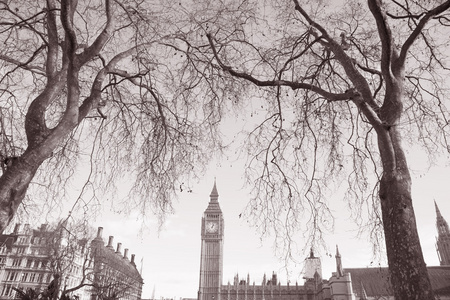 大笨钟和国会，西敏寺，伦敦的房子
