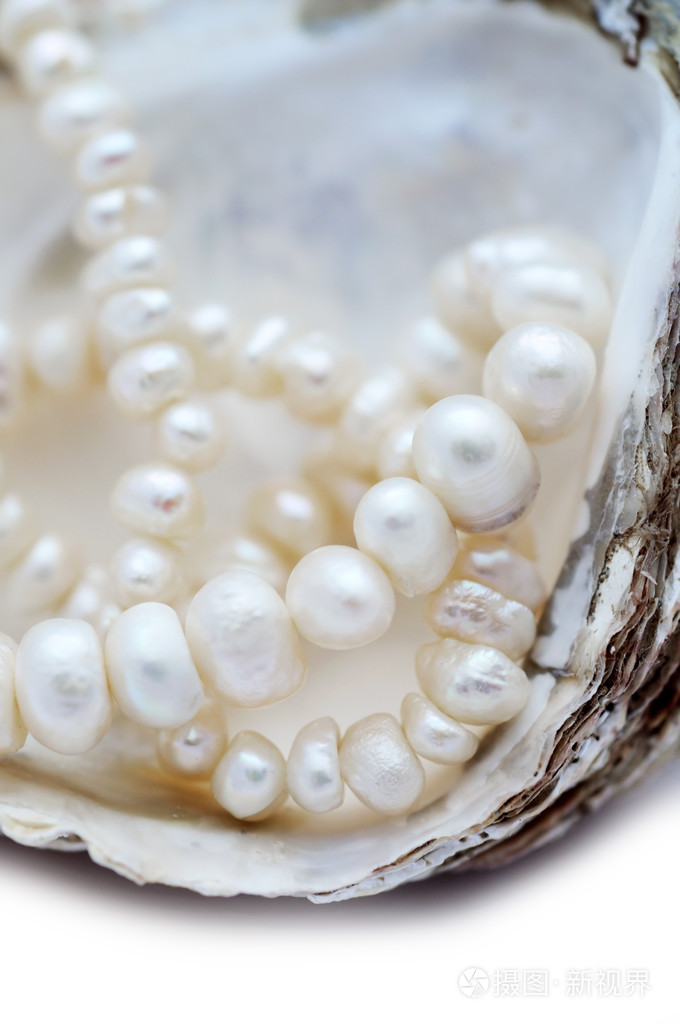 蚝壳珍珠项链照片-正版商用图片00bfdq-摄图新视界