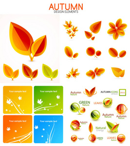 矢量橙色和黄色秋天的季节落叶，树概念