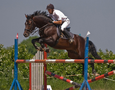 跳跃的基地跳马表演照片