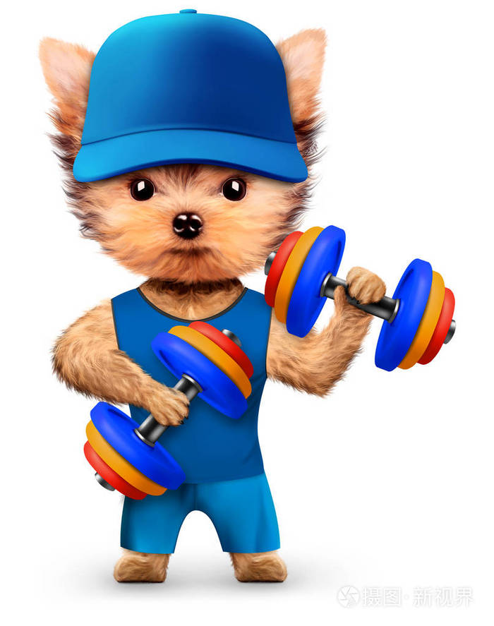 有趣的狗训练与体育健身房哑铃