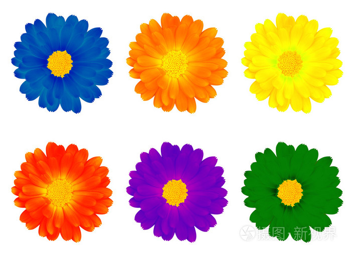 六朵五颜六色的花