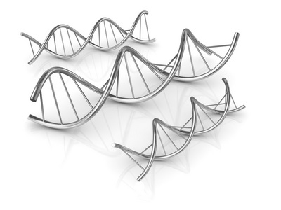 dna 形状