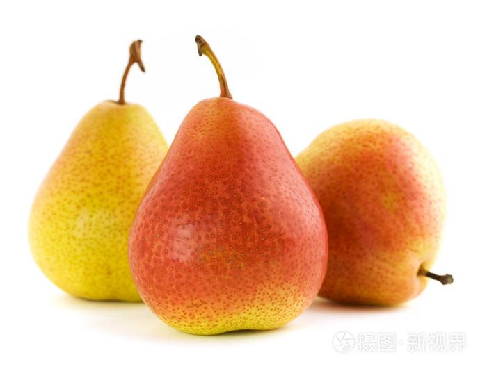 梨(树)( pear的名词复数 )照片-正版商用图片00c4un-摄图新视界