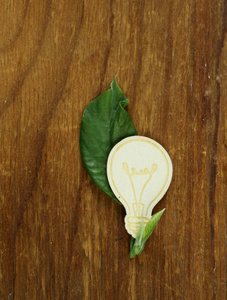 绿色能源一片绿叶灯泡的概念