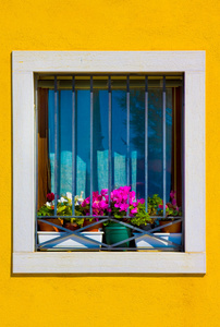 鲜艳夺目的花朵，意大利的窗口