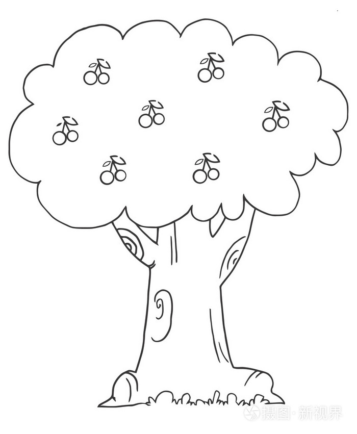 一棵樱花树的轮廓