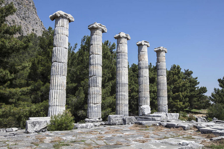 古市的 Priene，土耳其的废墟