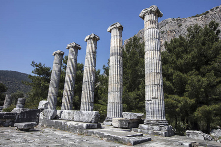 古市的 Priene，土耳其的废墟