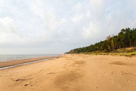 海岸线的波罗的海海滩岩石与沙丘