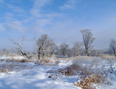 在下雪后的早晨