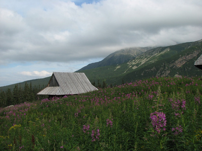 波兰山