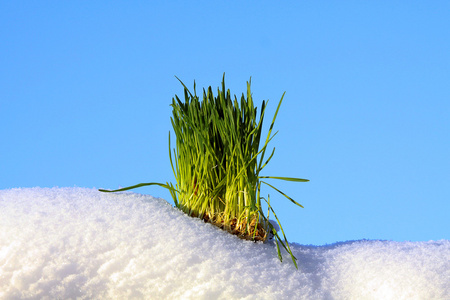 绿色的草地，白色雪和蓝色天空