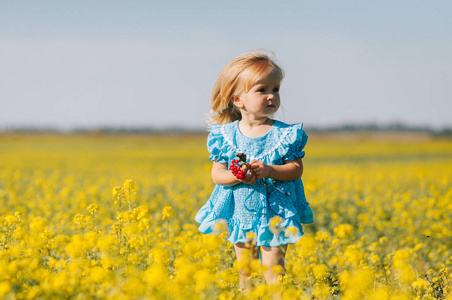 小女孩在黄色的花场