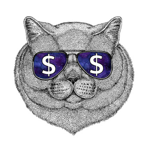 贵族猫英国贵族猫男性戴着眼镜与美元标志图与野生动物为 t 恤,纹身