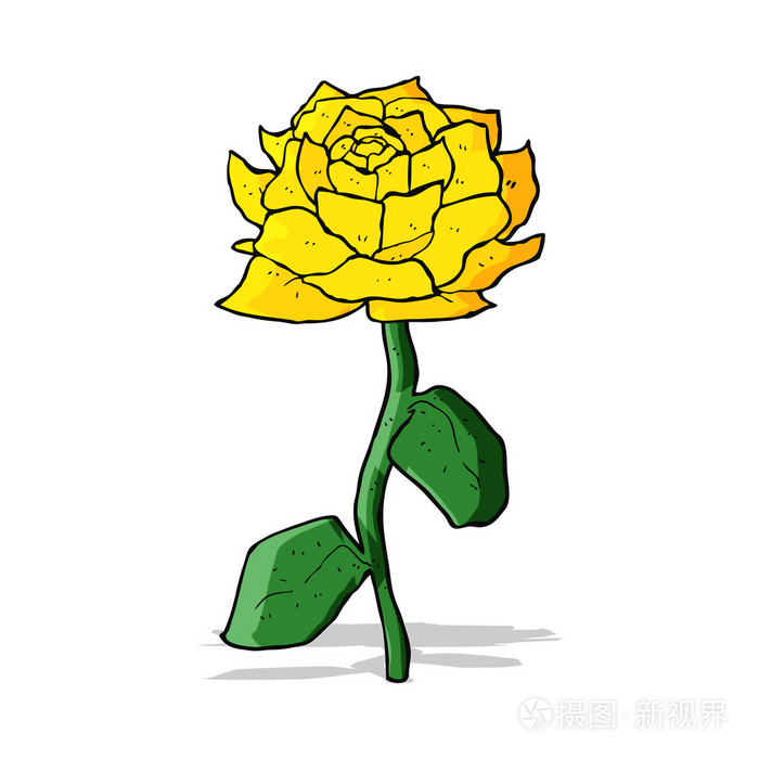 黄色玫瑰卡通