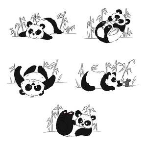 大熊猫在竹林中玩一套。手工绘制的草图