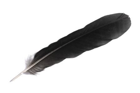 羽毛，翎毛 状态，心情 种类 桨叶的水平运动