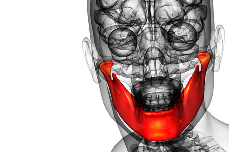 3d 渲染的图下颚骨