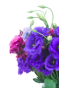 束紫罗兰色和淡紫色的桔梗花