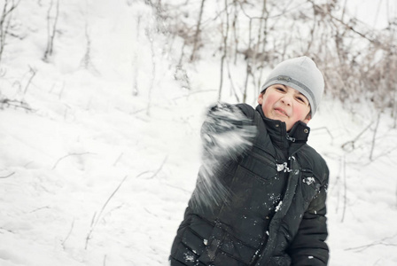 伙计们都在冬天玩雪