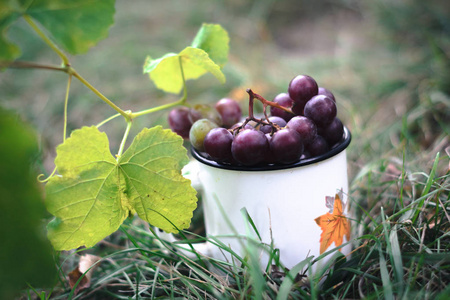 一串葡萄在草地上的白色杯子