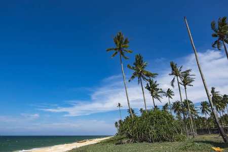 在阳光灿烂的日子 沙滩 船 椰子树和蓝蓝的天空背景下的美丽的热带海景