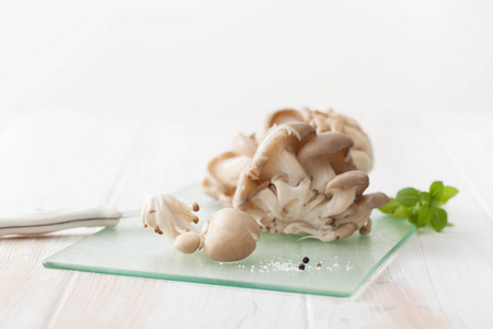 白色背景上的生牡蛎蘑菇。