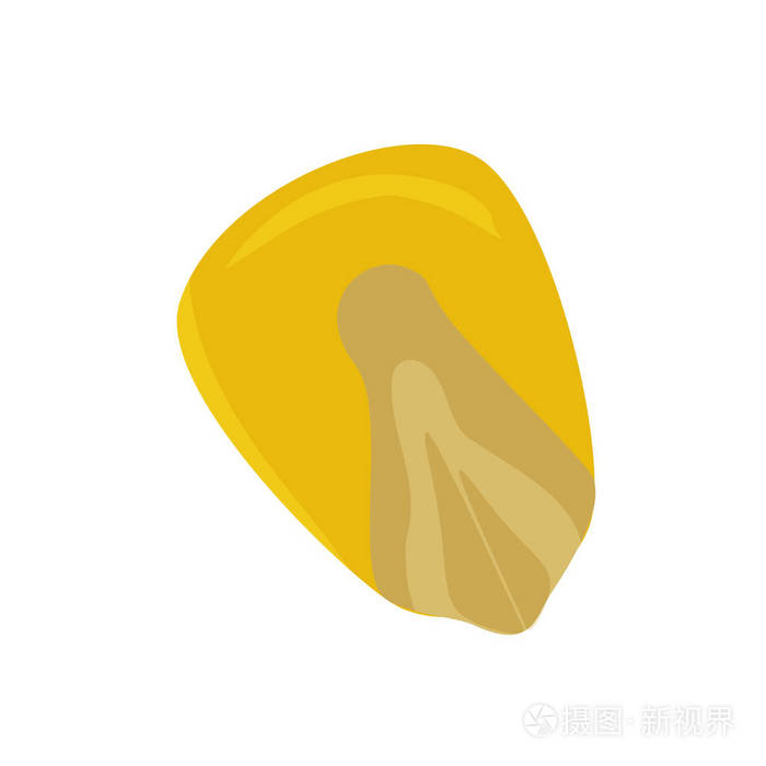 玉米种子矢量插画-正版商用图片00dxns-摄图新视界