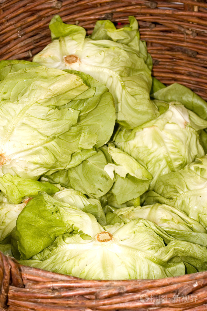 洋白菜卷心菜cabbage的名词复数