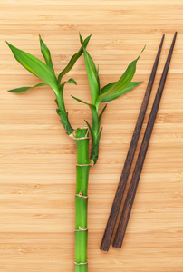 竹类植物和筷子