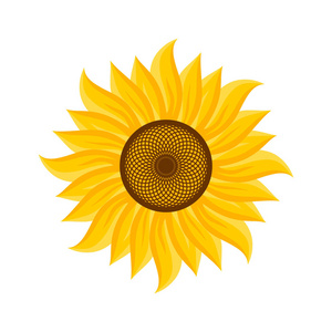向日葵的符号图片