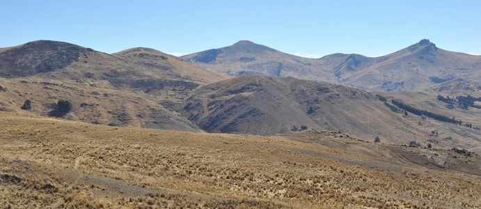 高原地区。玻利维亚