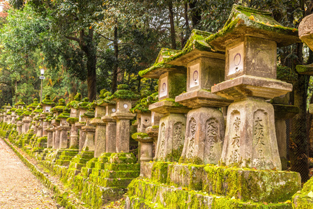 日本春日泰山