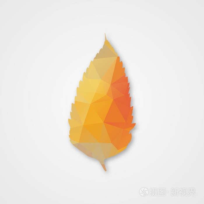 秋天的叶子的三角形