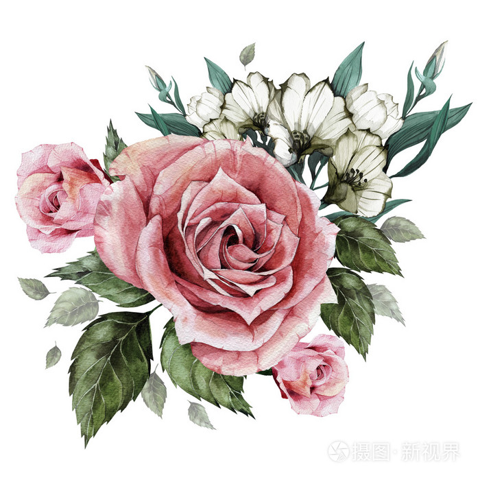 花束水彩玫瑰和洋桔梗